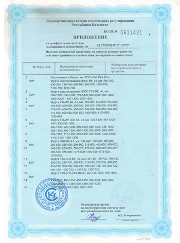 Polytech Astana Certificate — 18